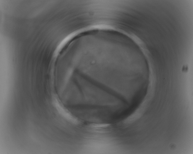 X0000113930864200910161850