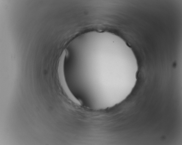 X0000113930865200910161849