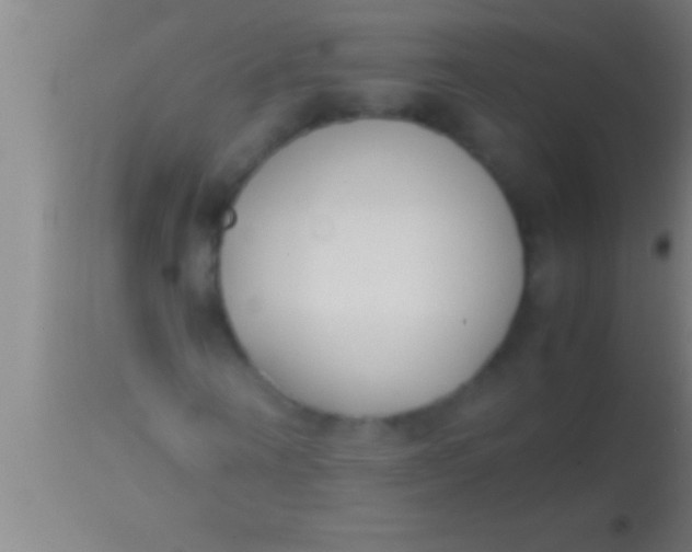 X0000113930866200910161849