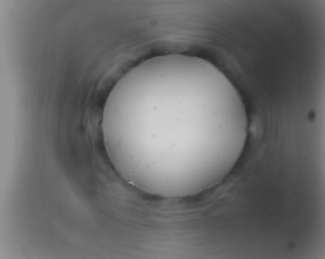 X0000113930867200910161849