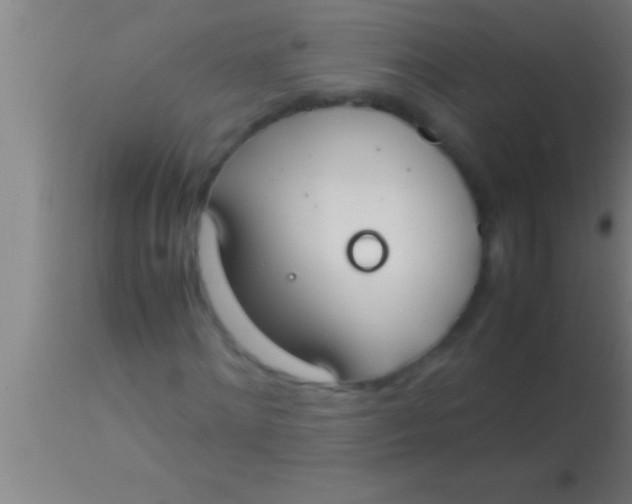 X0000113930868200910161849