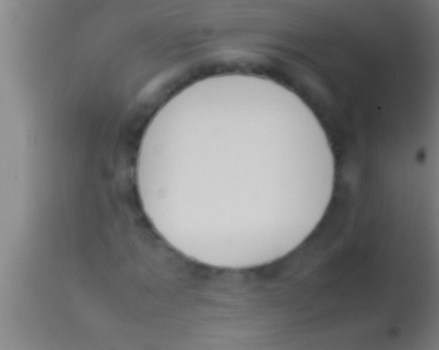 X0000113930869200910161849