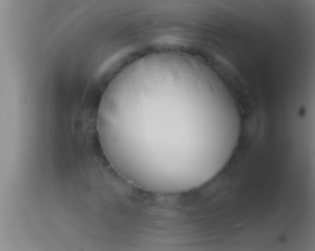 X0000113930870200910161849