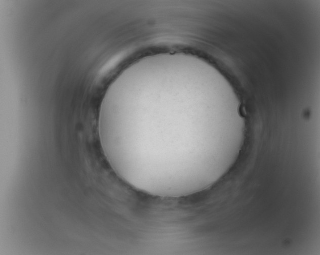 X0000113930871200910161849