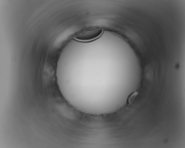 X0000113930872200910161849