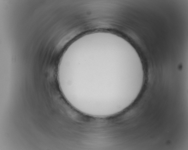 X0000113930873200910161849