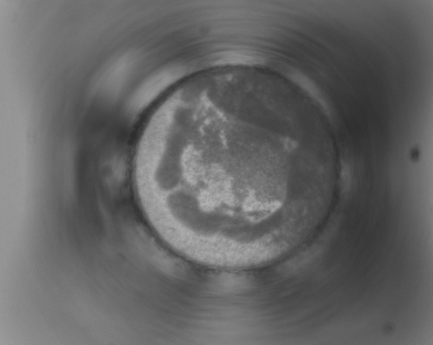 X0000113930874200910161848