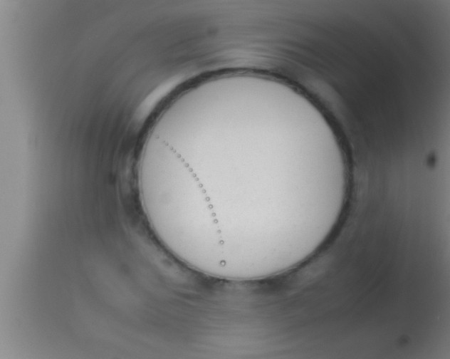 X0000113930875200910161848