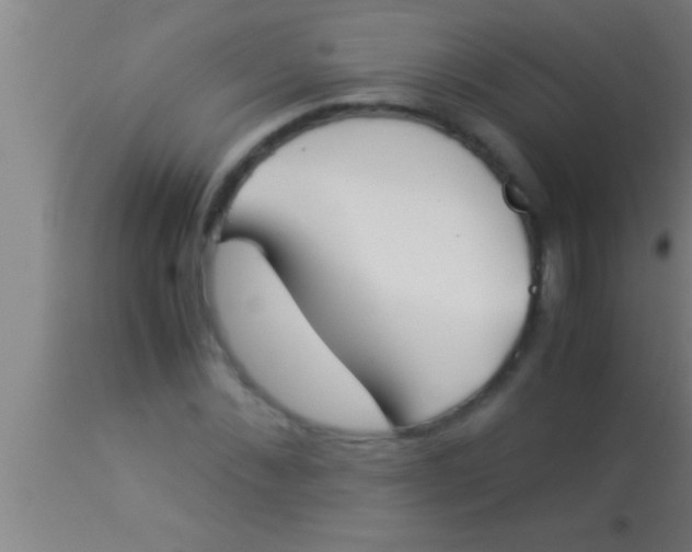 X0000113930876200910161848