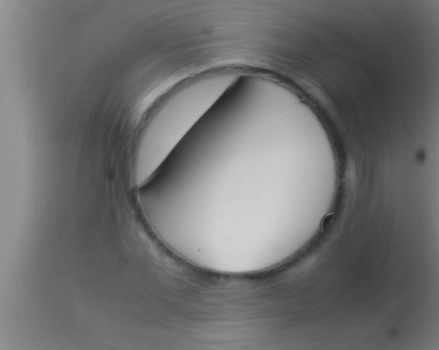 X0000113930877200910161848