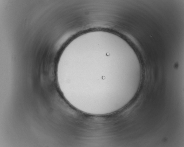 X0000113930878200910161848