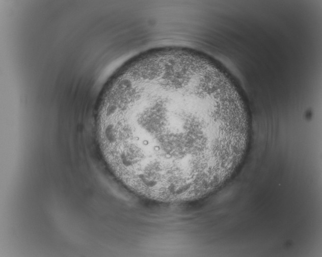 X0000113930879200910161848