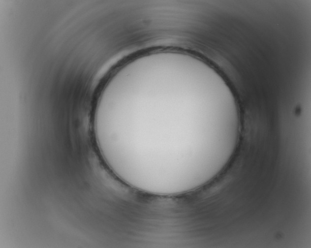 X0000113930880200910161848