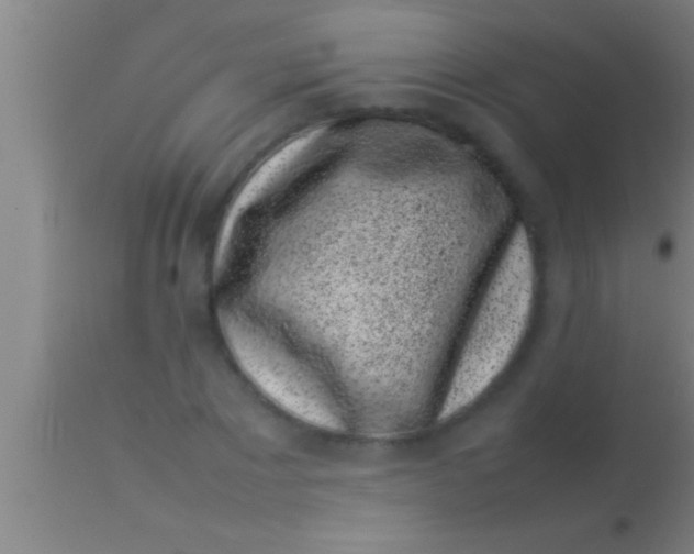 X0000113930881200910161848