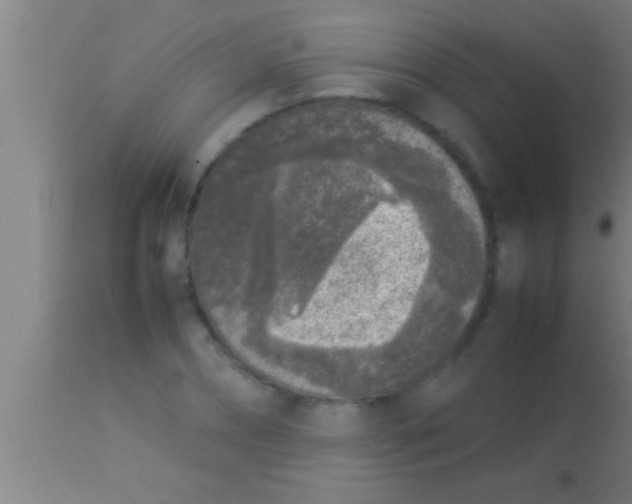 X0000113930882200910161848