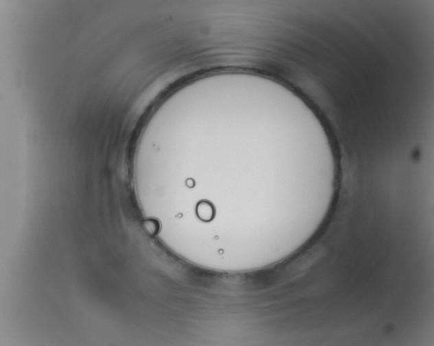 X0000113930883200910161848