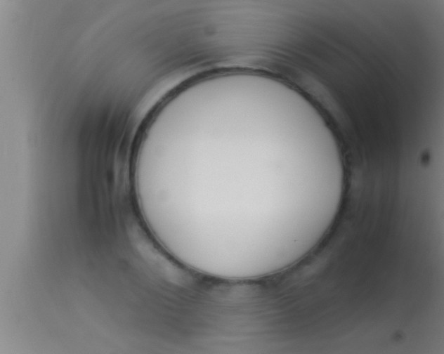 X0000113930884200910161848