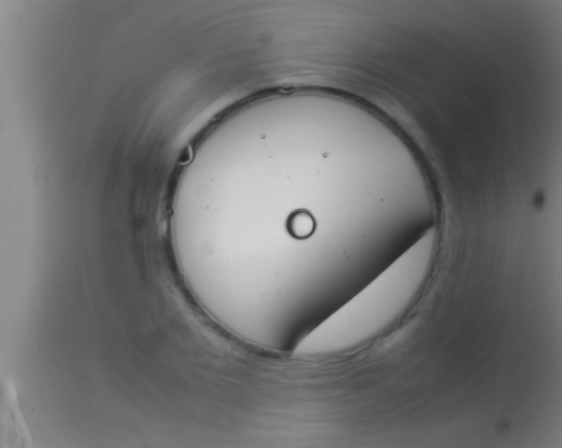 X0000113930885200910161848