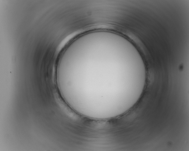 X0000113930886200910161848