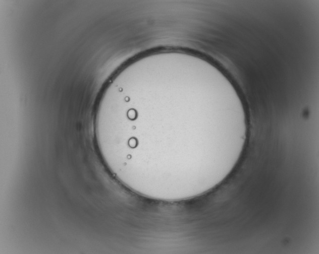 X0000113930887200910161848