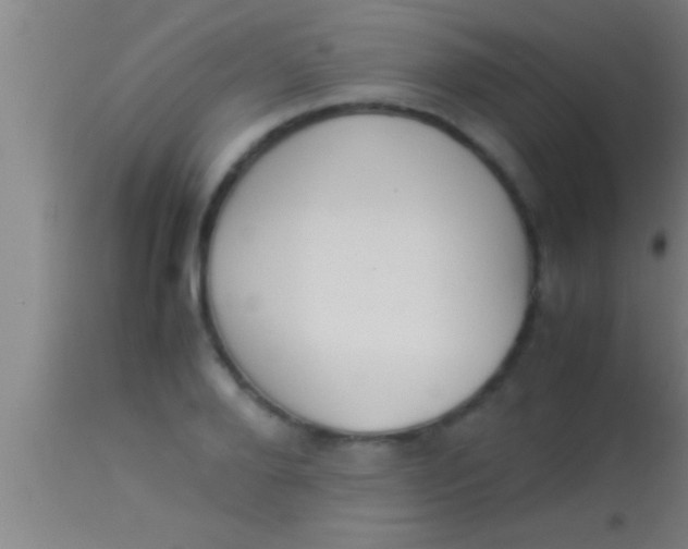 X0000113930888200910161848