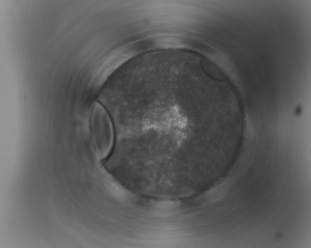 X0000113930889200910161848