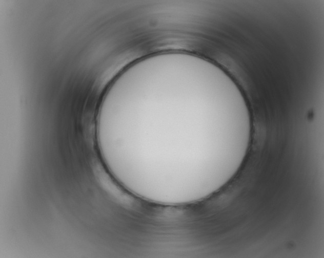 X0000113930890200910161848