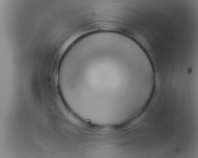 X0000113930891200910161848