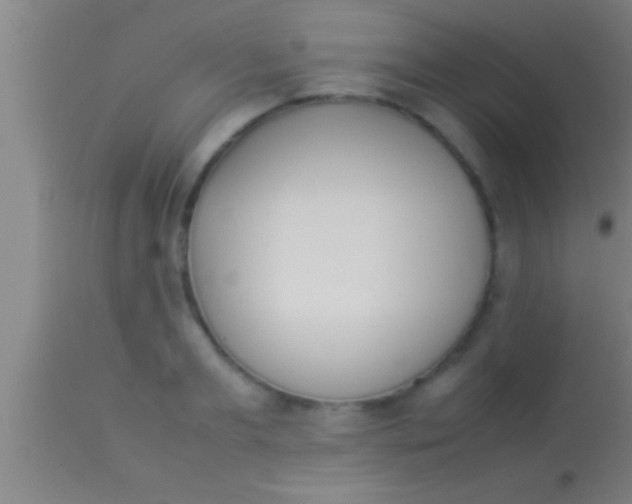 X0000113930893200910161848