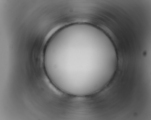 X0000113930894200910161848