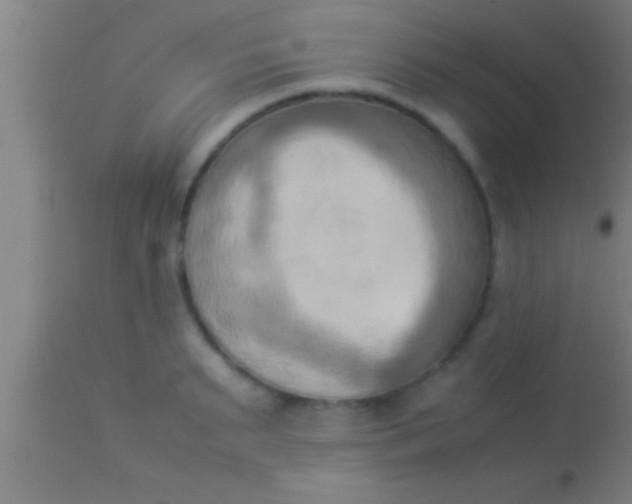 X0000113930895200910161848