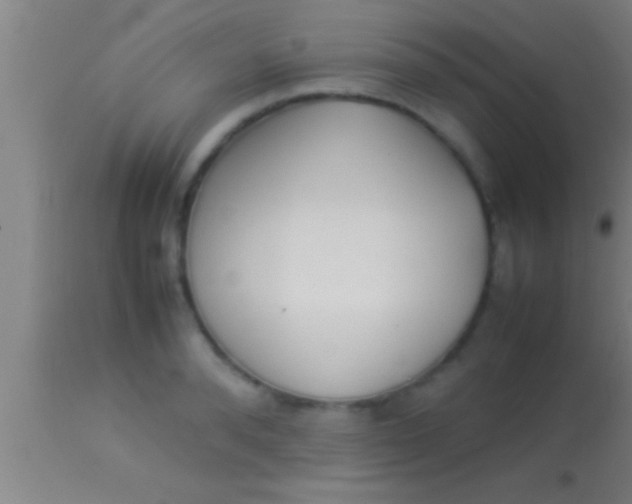 X0000113930896200910161848