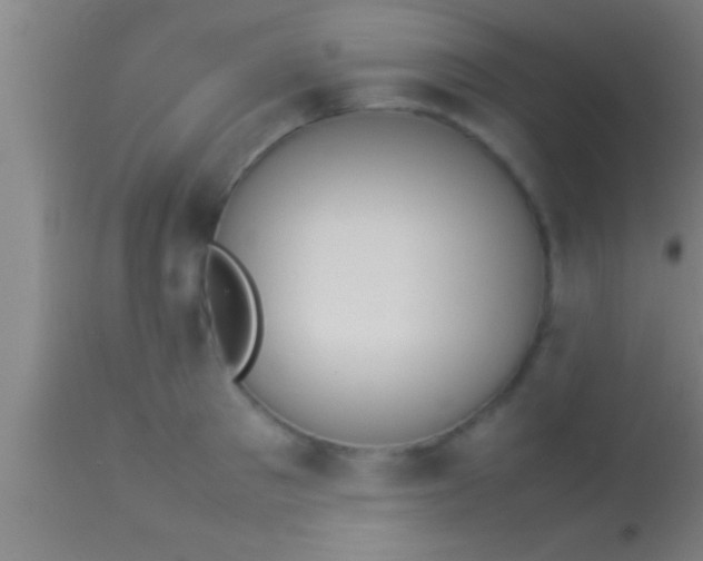 X0000113930897200910161848