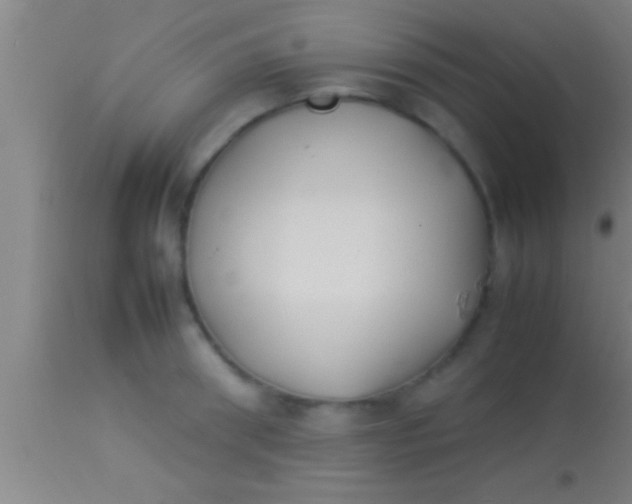 X0000113930898200910161848