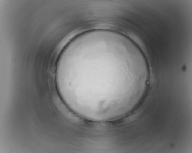 X0000113930899200910161848