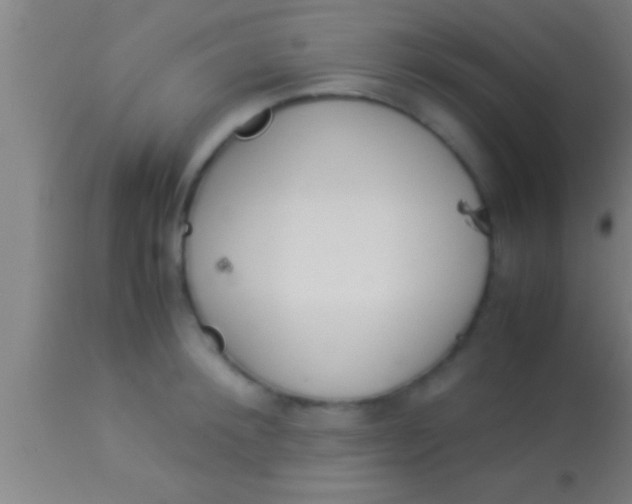 X0000113930900200910161848