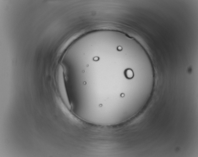 X0000113930901200910161848