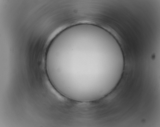 X0000113930902200910161848