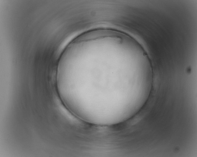 X0000113930903200910161848