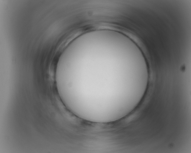 X0000113930905200910161848