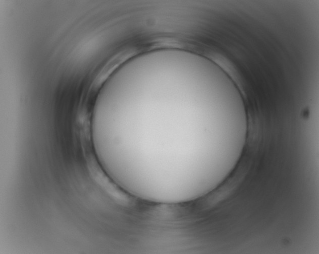 X0000113930906200910161848