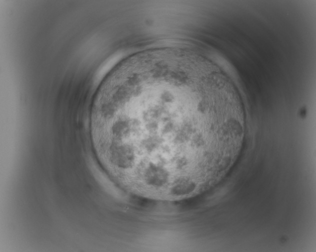 X0000113930907200910161848