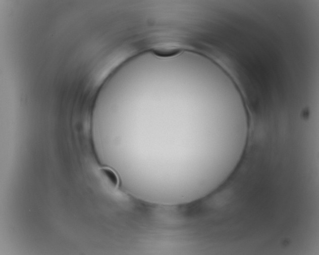 X0000113930909200910161848