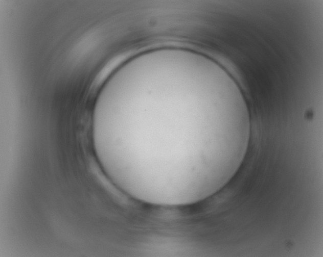 X0000113930911200910161848