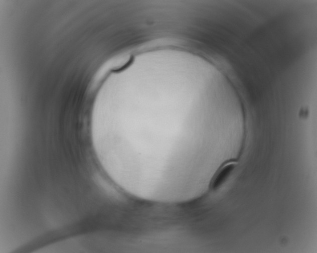 X0000113930912200910161848