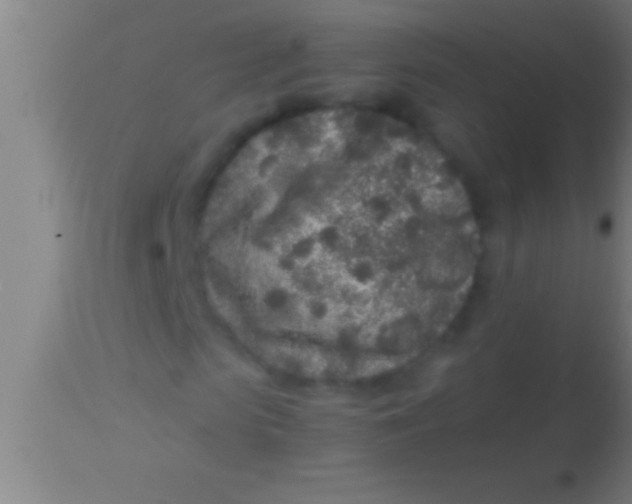 X0000113930913200910161847