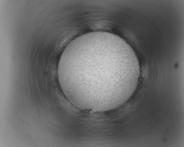 X0000113930915200910161847