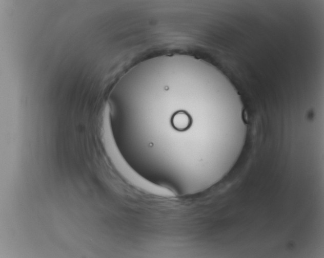 X0000113930916200910161847