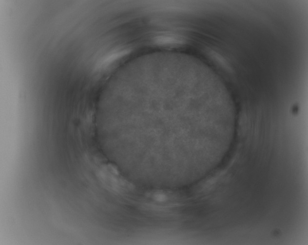 X0000113930917200910161847