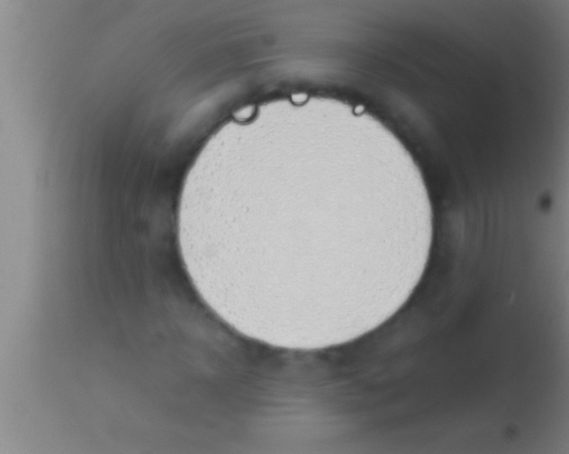 X0000113930918200910161847